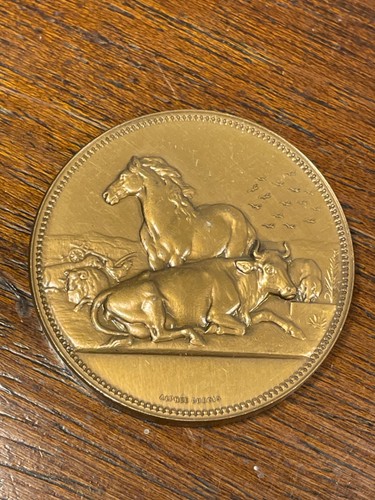 Médaille animaux cheval - médaille,