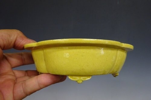 Pot bonsaï japonais fuuka - à,