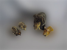 Lot de peluches des années