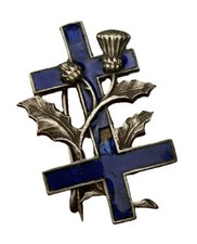 Insigne Croix de Lorraine chardon émail broche militaire résistance escadrille