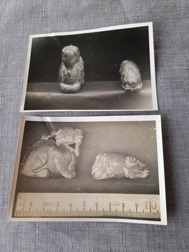 Photos petits animaux - photos,