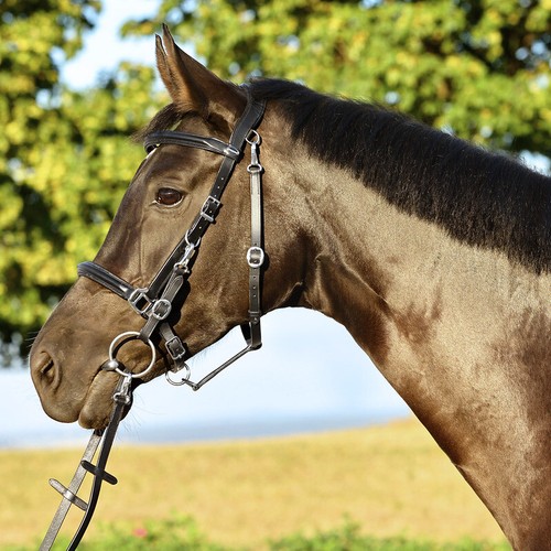 Hiking riding snaffle - hiking,