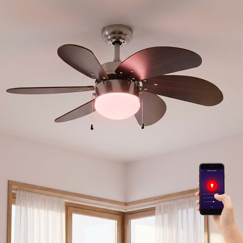 Ventilateur plafond lampe - ventilateur, de