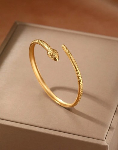 Bracelet serpent acier - serpent,