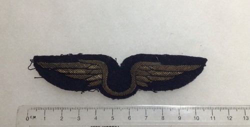 France aviation insigne de - france,