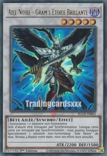 Yu-Gi-Oh! Aile Noire - Gram l'Étoile Brillante : UR BLCR-FR063