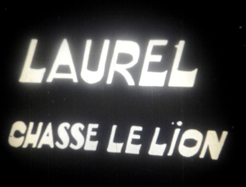 Laurel chasse lion - laurel,