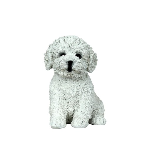 Mignon blanc chiot chien - mignon,