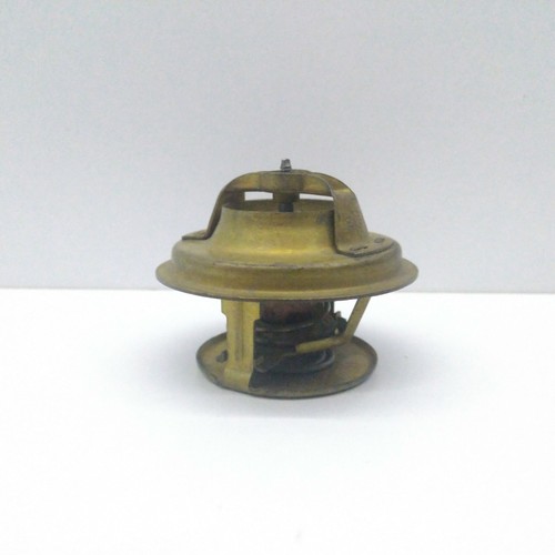 Thermostat radiator renault - radiator,