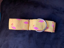 collier pour chien flamant