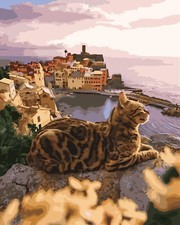 Peinture par numéros cadre en bois chat au bord de la mer