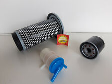 Filtre Set (Petit) Compatible Avec Iseki SG 17 Avec Moteur E374G