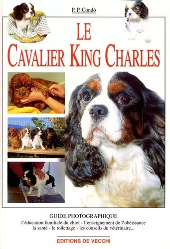 Cavalier king charles - le,