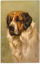 ILLUSTRATEUR .   CHIEN.      SAINT-BERNARD.      DOG.