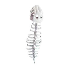 Costume squelette de - de,