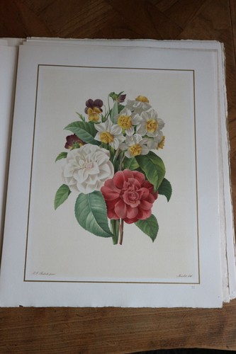 Belle lithographie fleur - de,