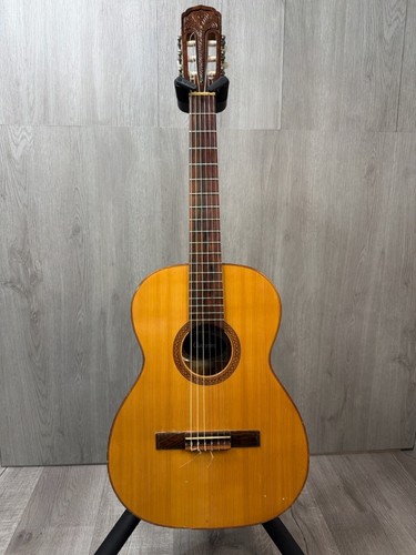 Giannini acoustic classical - acoustic,