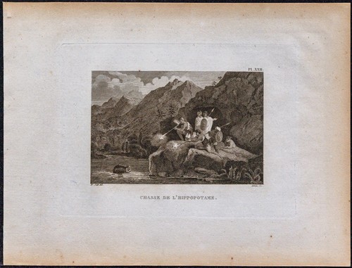 1816 chasse l hippopotame - 1816, à