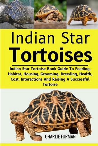 Indian star tortoises - star, tortoises: