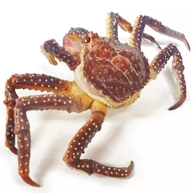 Mini figurine king crab - king,