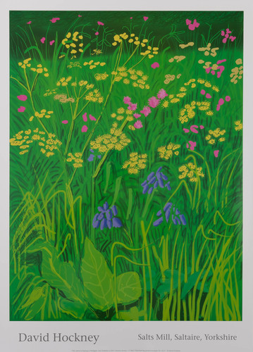 David hockney champs de - david,