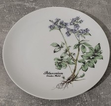Assiette En Véritable Porcelaine Fine Winterling Création Mobil diam.24 cm