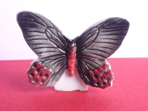 Feve papillon taiwan - feve,