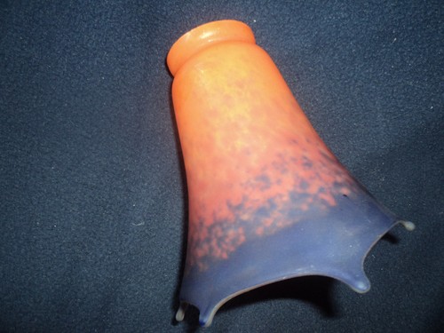 Ancienne tulipe pate - tulipe ,