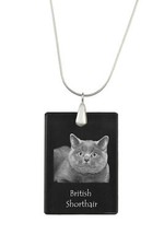 British Shorthair collier en cristal avec un chat Art-Dog