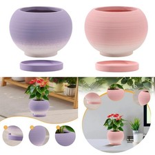 Plante Pot Round Flower Pot