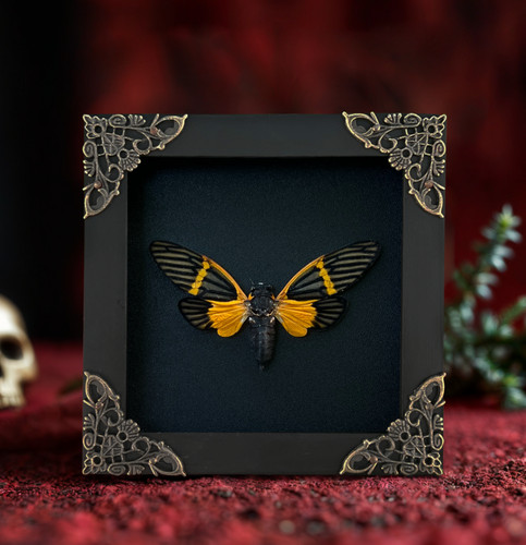 Unique mother day gift - mother's,