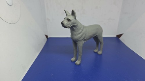 Collection atlas chien - , (10)