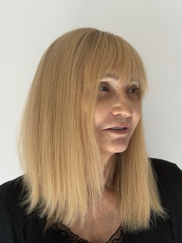 Vends topper cheveux - cheveux, blonds