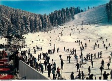 88 - La Bresse - Centre de ski Chitelet-Hohneck - Piste de la Vologne  la plus l