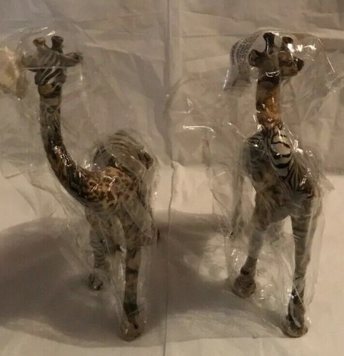 Two loving safari giraffee - two,