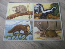 Ancienne planche images