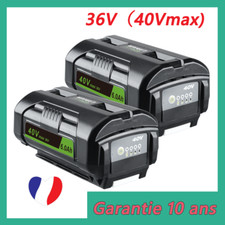 2x 6Ah 36V Pour batterie Ryobi