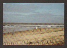 BISCARROSSE (40) CHAR à VOILE