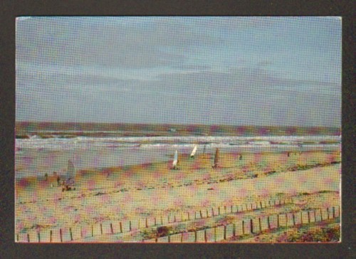 Biscarrosse char voile - char,