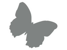 Sticker Papillon - plusieurs tailles et coloris - 0036
