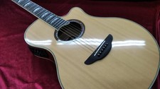 Guitare électrique acoustique