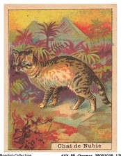 AXYP5-0369-CHROMOS - Chocolat pupier - Les chats - Usine modèle