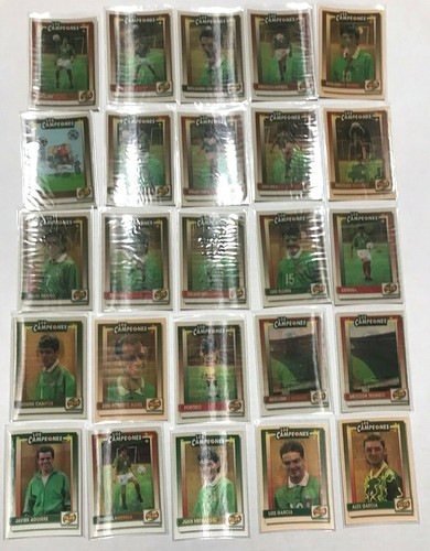 The 1993 pilon cards champions - the,