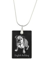Bulldog, Anglais Bouledogue -
