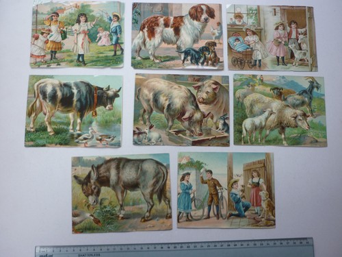 Lot image chromo - , grand