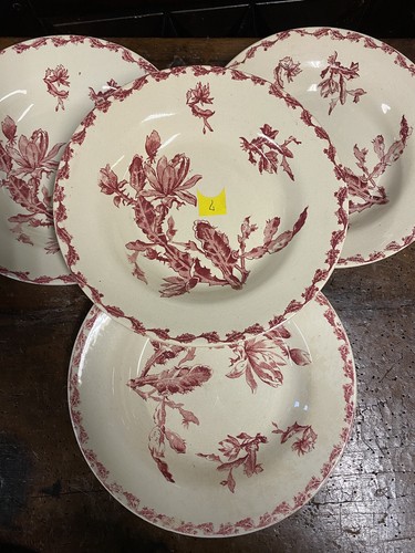 Assiette creuse gien cactus - 4,