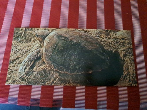 Carte nestle merveilles - merveilles, du