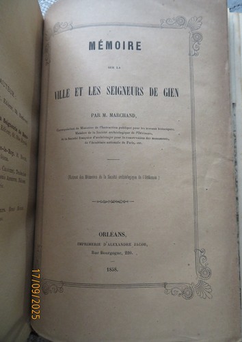 Orleanais pinsseau - orleanais,