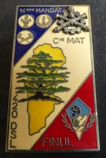 Insigne militaire 420° D.S.L