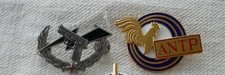 Insigne brevet gendarmerie - insigne,